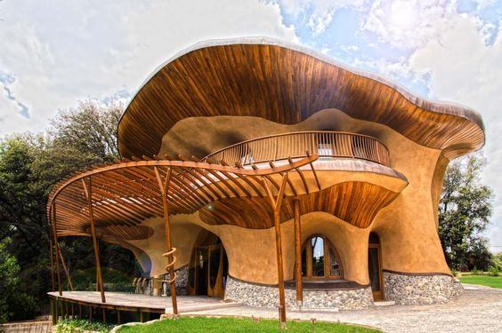 Inspirasi Desain Rumah Dengan Gaya Organik yang Indah Dan Unik